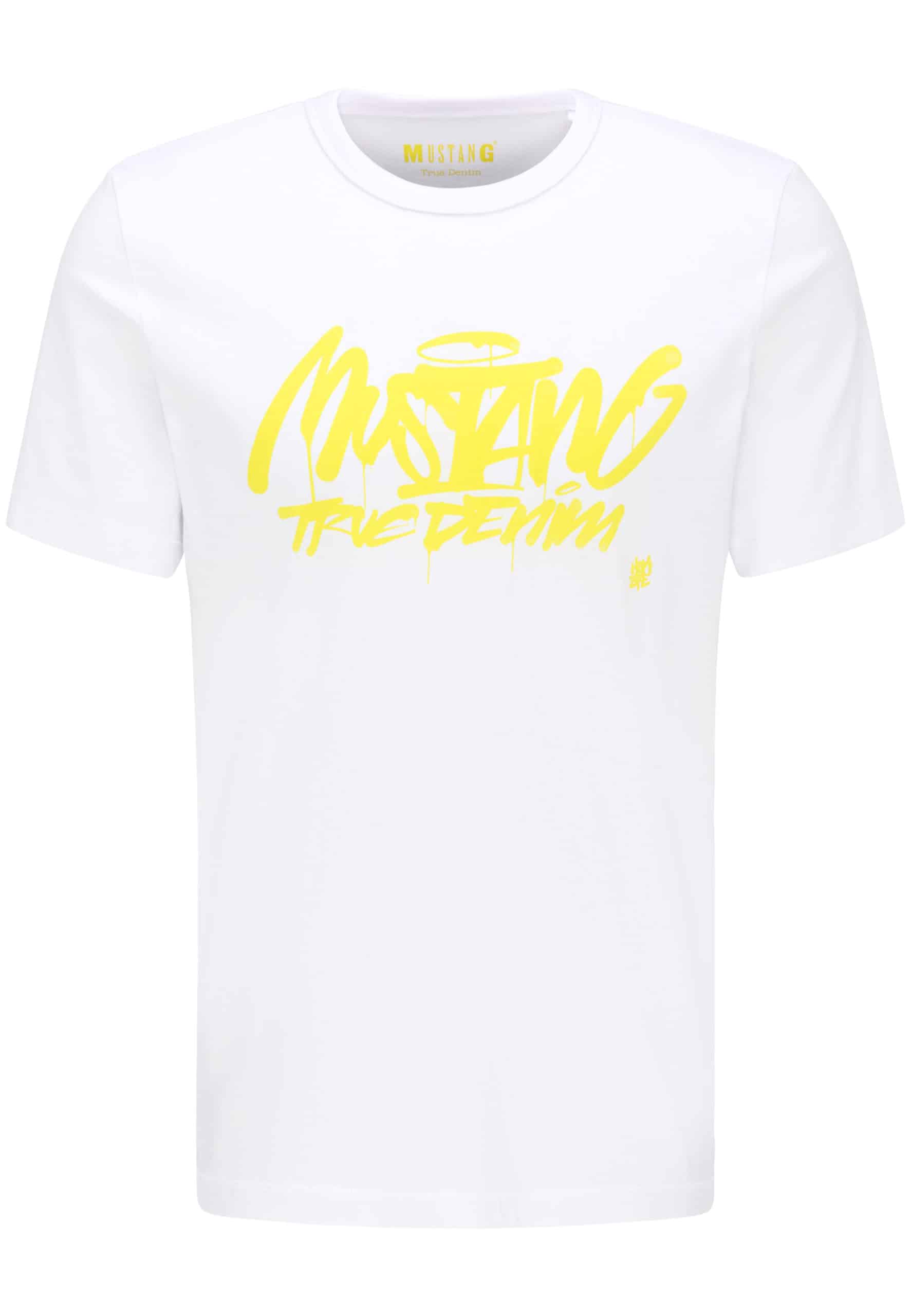 2011_1009007-2045_1B