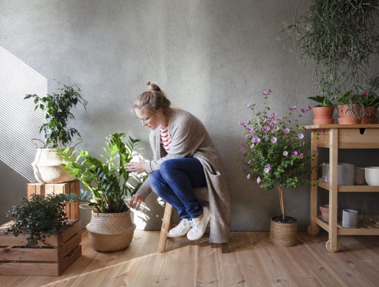 Indoor Garden oder Micro Gardening