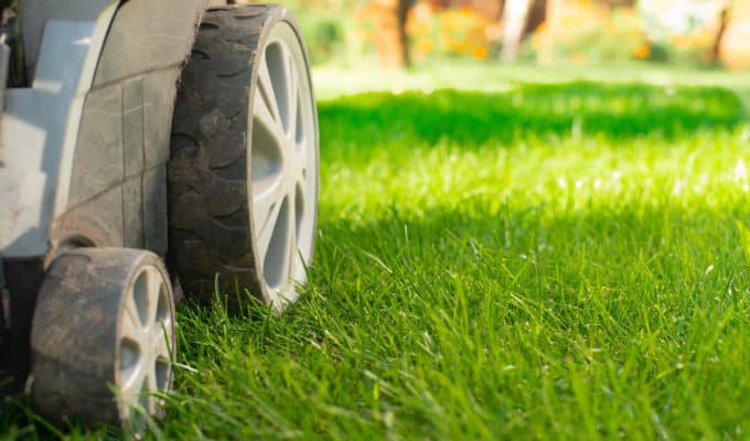 Rasenpflege im Frühling